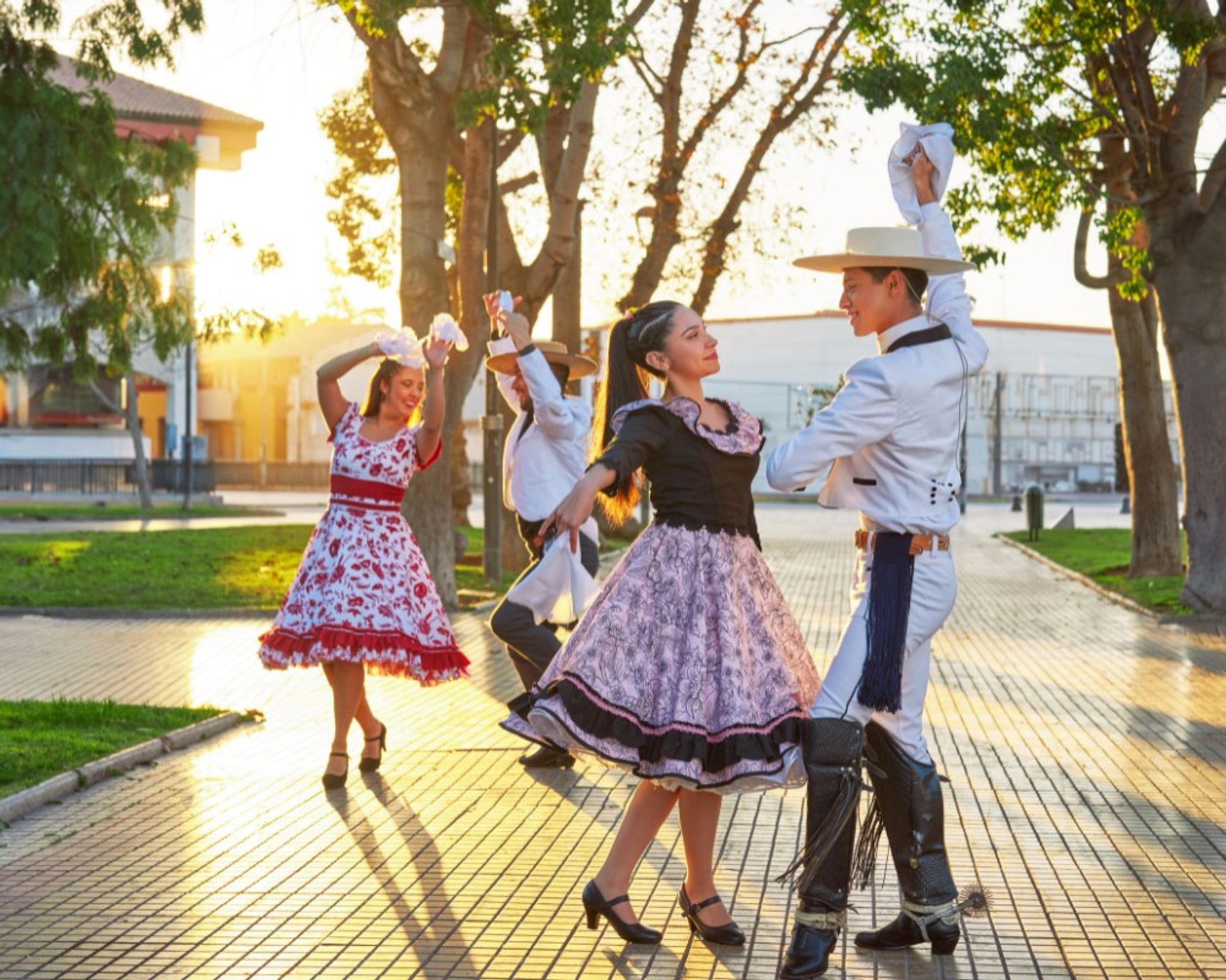 cile-gallery-sito (5).jpg